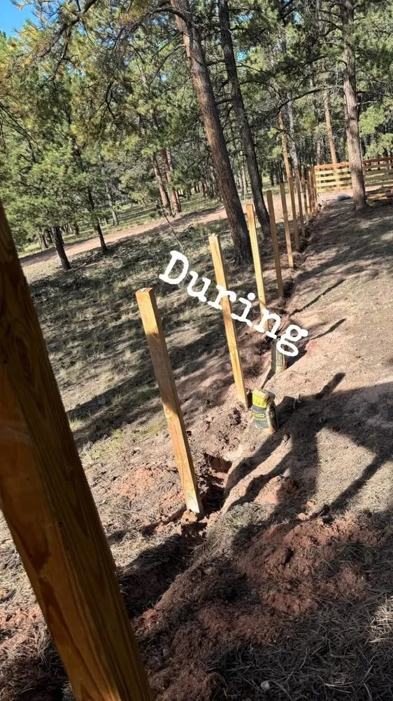 Reliable lawn care service experts serving Colorado Springs, CO - Positive Landscaping