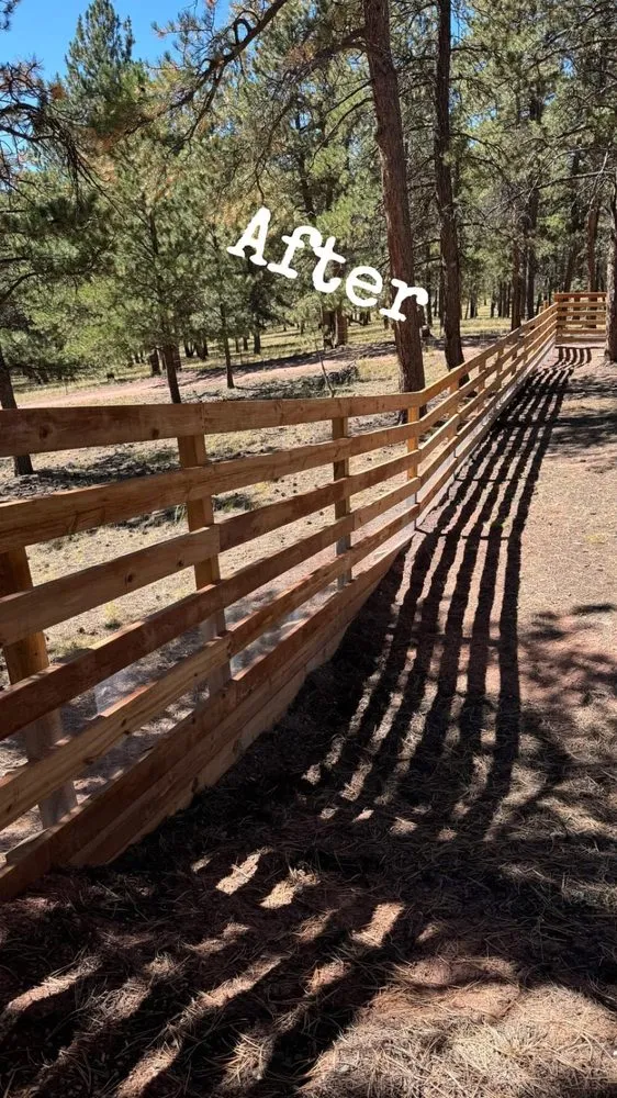 Custom outdoor landscaping for year-round maintenance in Colorado Springs, CO by Positive Landscaping