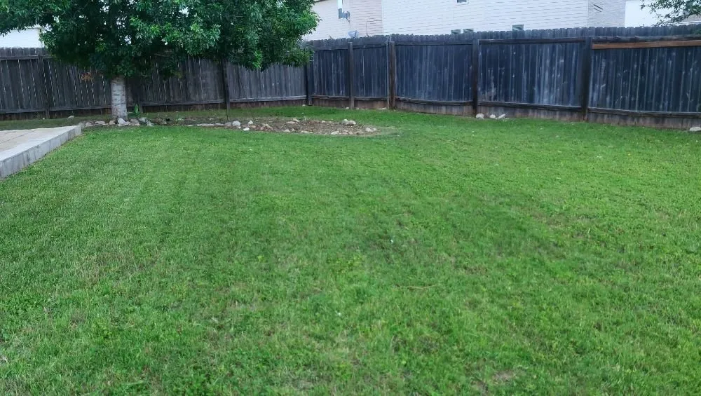 Top-rated residential landscaping for outdoor upgrades in San Antonio, TX by Positive Vibes Lawn Care