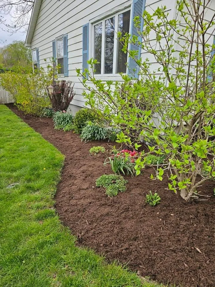 Affordable lawn care service for residential properties across Coopersville, MI - Post Property Solutions