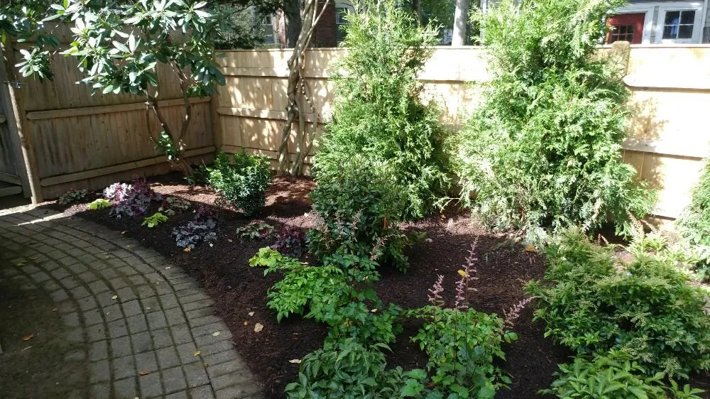 Reliable yard cleanup service for beautiful yards in Wayland, MA by Post RD Landscape