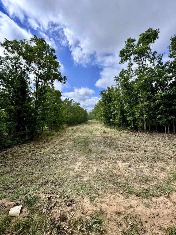 Trusted residential landscaping in Aiken, SC by Postons Landscaping & More