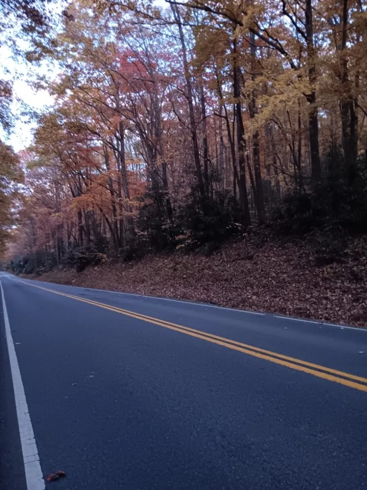 Local outdoor landscaping experts serving Austinville, VA - Postons Mowing and More