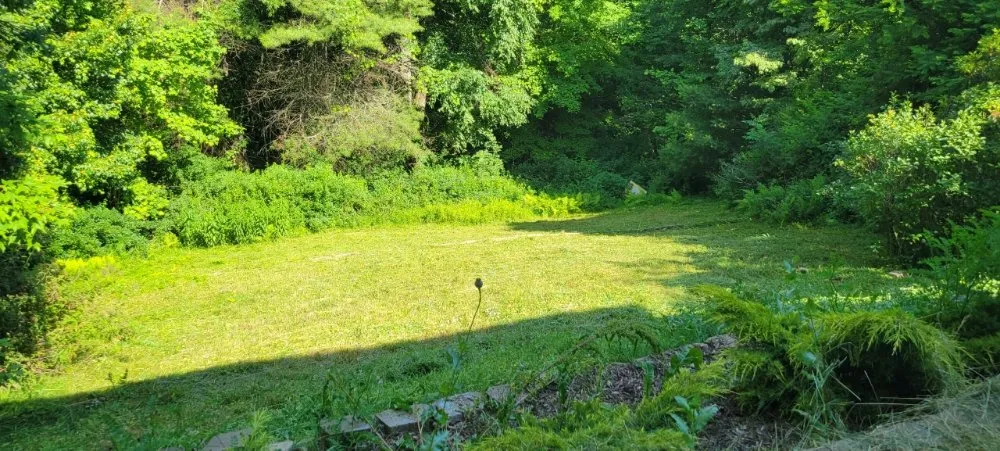 Trusted lawn care service for outdoor upgrades in Marion, VA by Poston's Mowing And More