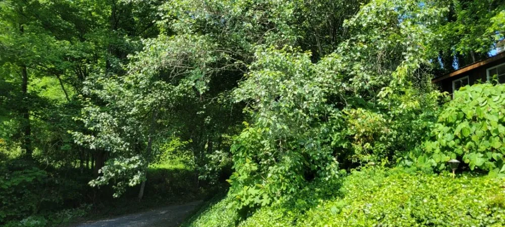 Trusted garden landscaping in Marion, VA by Poston's Mowing And More