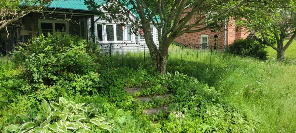 Expert garden landscaping for residential properties across Marion, VA - Poston's Mowing And More