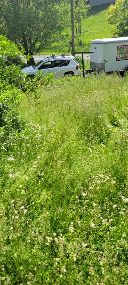 Custom landscape design for beautiful yards in Marion, VA by Poston's Mowing And More