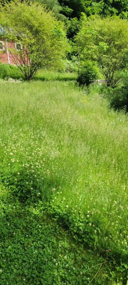 Top-rated garden landscaping experts serving Marion, VA - Poston's Mowing And More