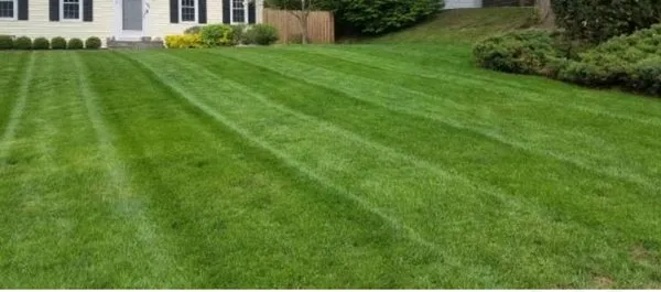 Pot Luck Lawn Care Service Logo