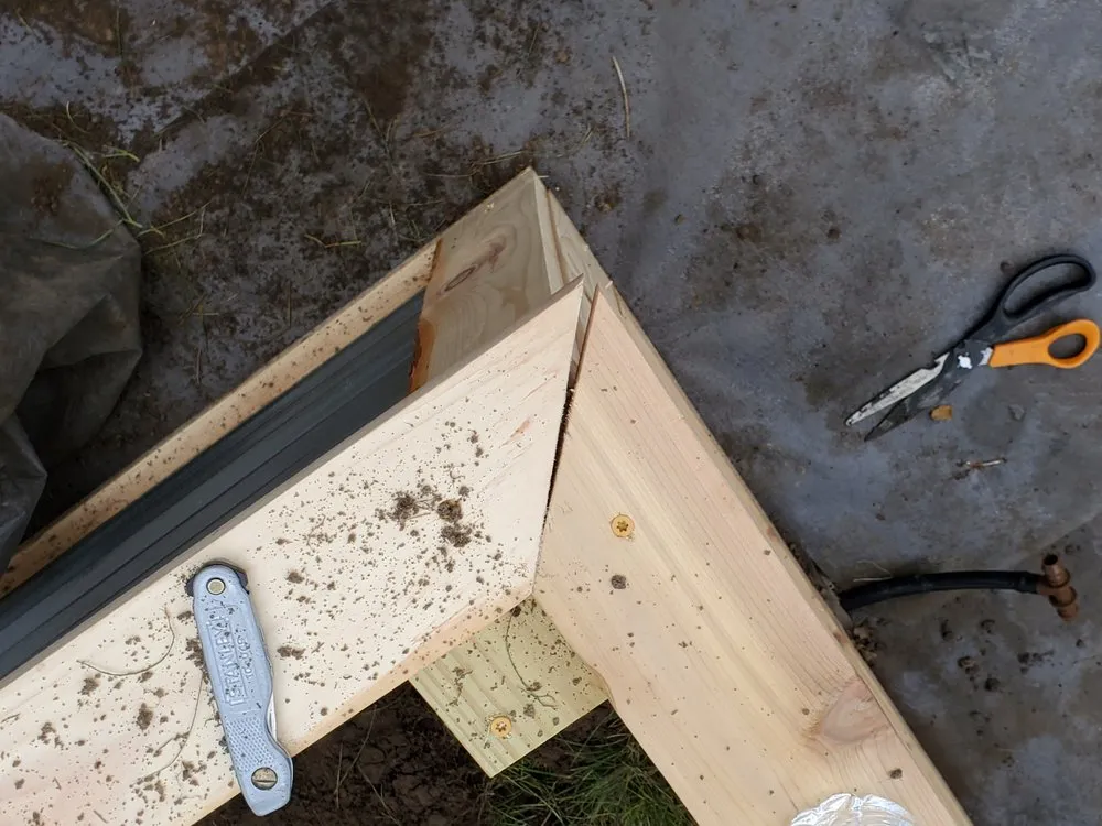 Trusted yard cleanup service for beautiful yards in Ferndale, MI by Potager Garden Design