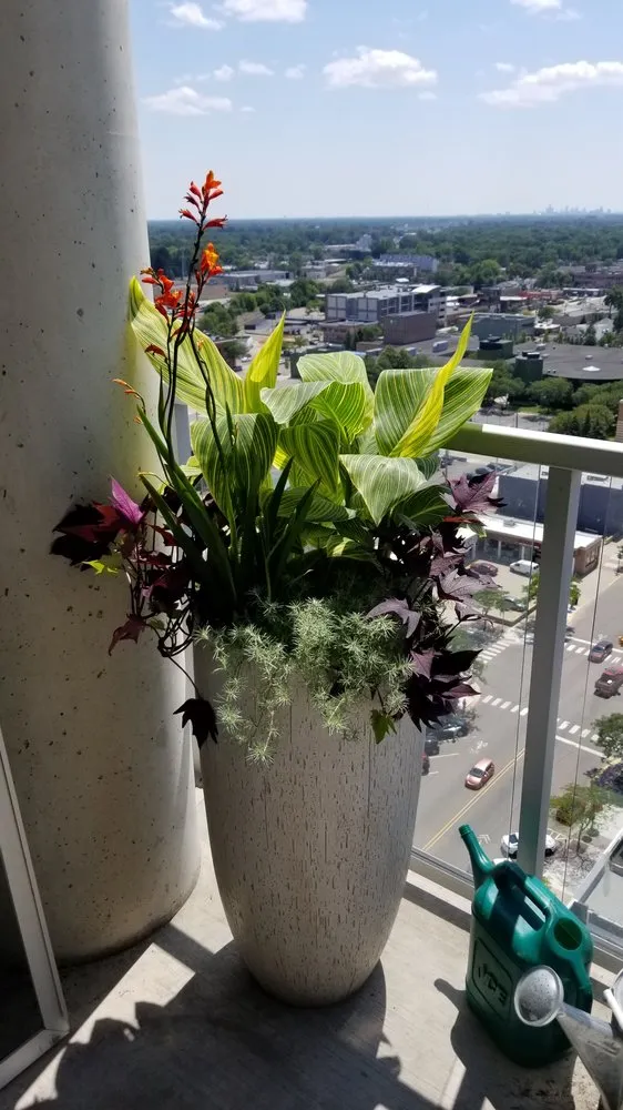 Reliable lawn care service for residential properties across Ferndale, MI - Potager Garden Design