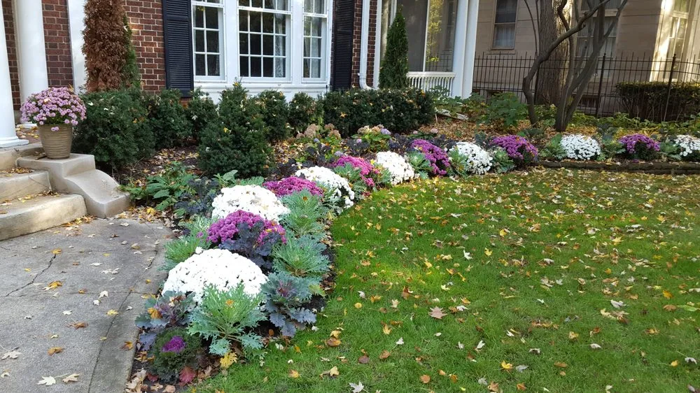 Local yard cleanup service in Ferndale, MI by Potager Garden Design