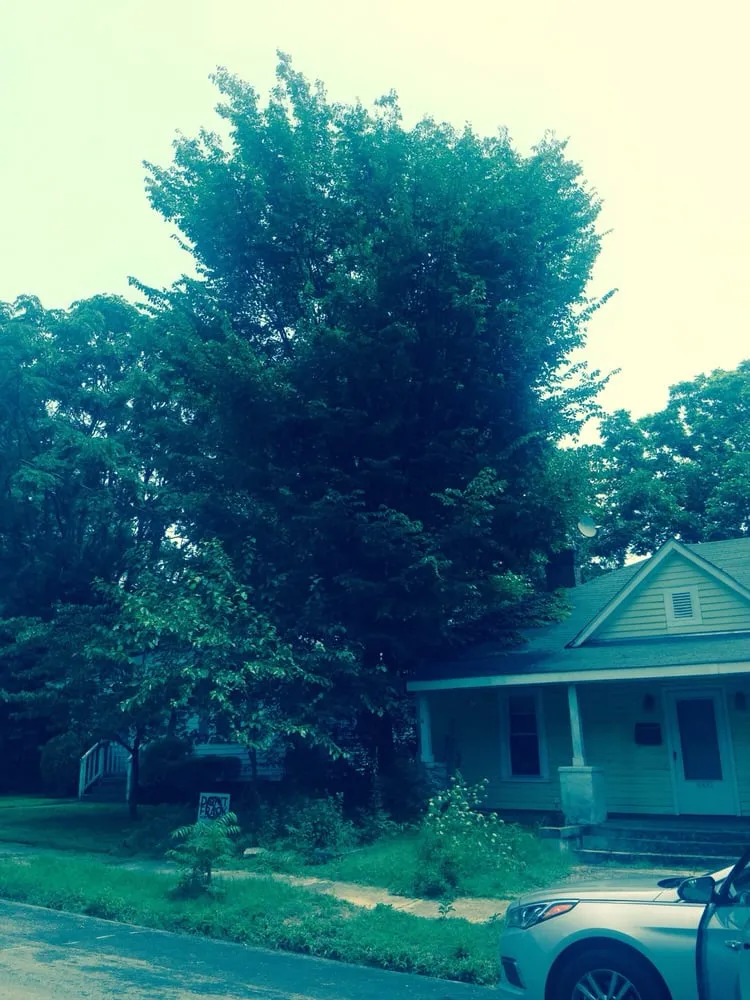 Custom outdoor landscaping in Chapel Hill, NC - Poteat Landscape Design