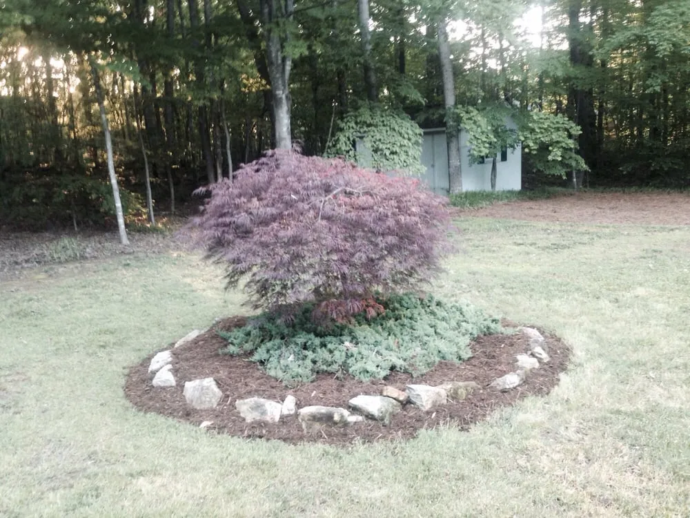 Affordable residential landscaping in Chapel Hill, NC by Poteat Landscape Design