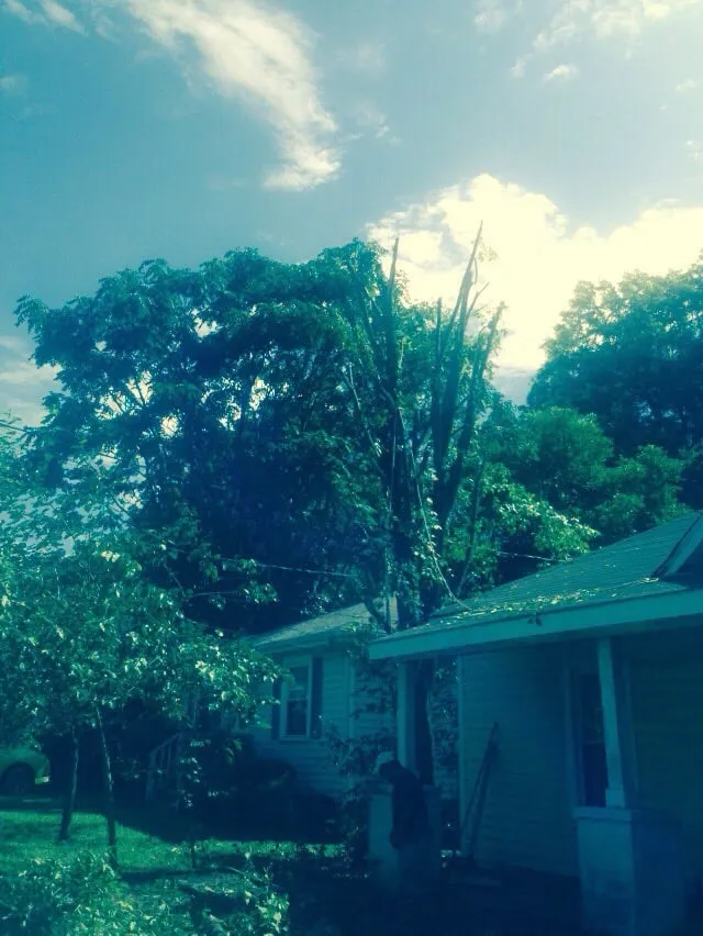 Expert yard maintenance experts serving Chapel Hill, NC - Poteat Landscape Design