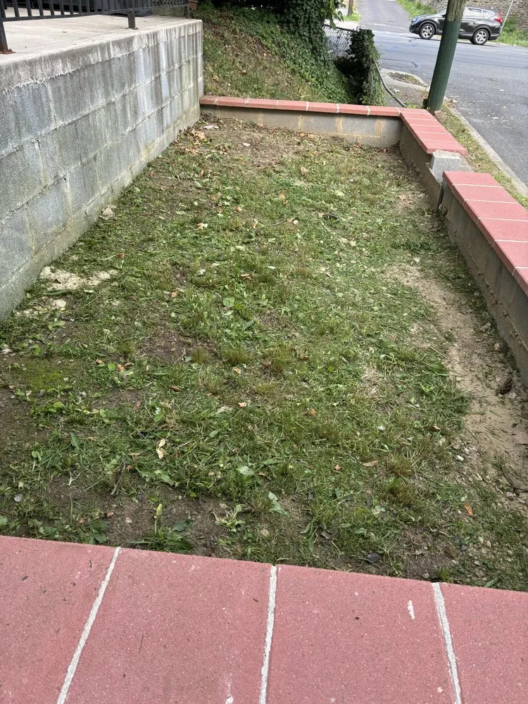 Local lawn care service experts serving Philadelphia, PA - Potential Landscaping