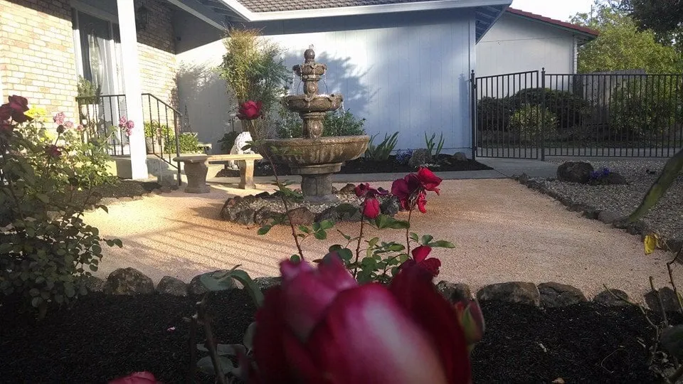 Affordable yard maintenance experts serving Penngrove, CA - Poteracke Landscape Design & Build