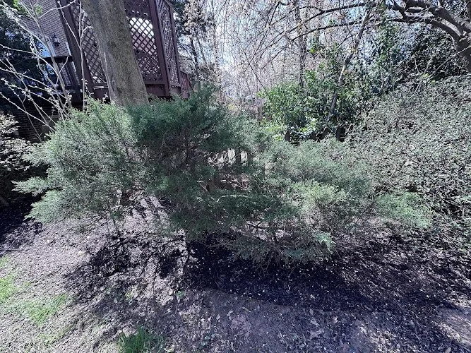 Top-rated yard maintenance for outdoor upgrades across Falls Church, VA - Potomac Lawn Professionals