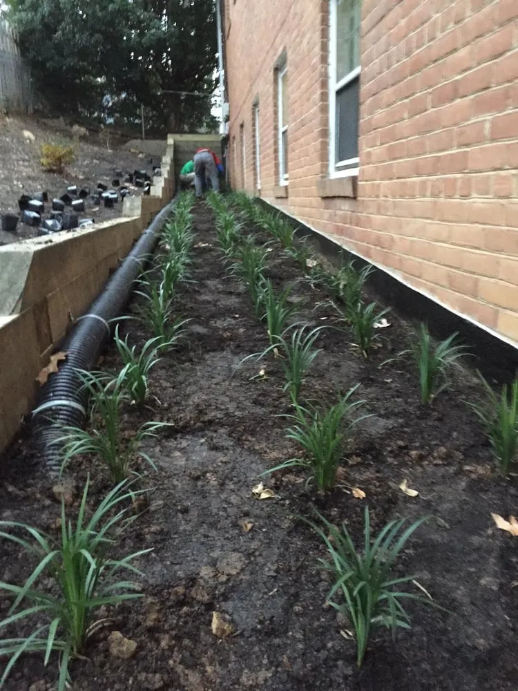 Trusted landscape design for residential properties in Falls Church, VA by Potomac Lawn Professionals