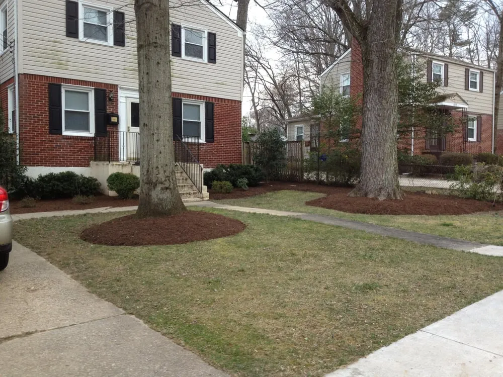 Expert yard cleanup service for outdoor upgrades across Falls Church, VA - Potomac Lawn Professionals