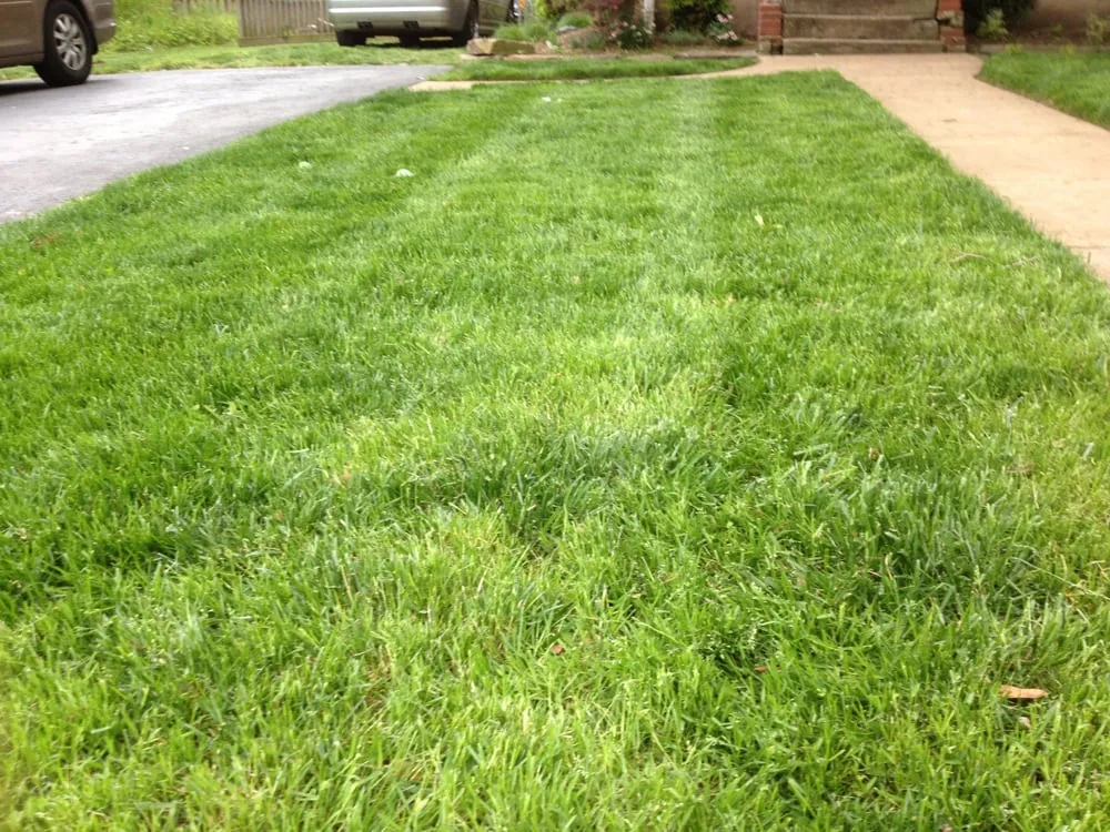Professional residential landscaping in Falls Church, VA by Potomac Lawn Professionals