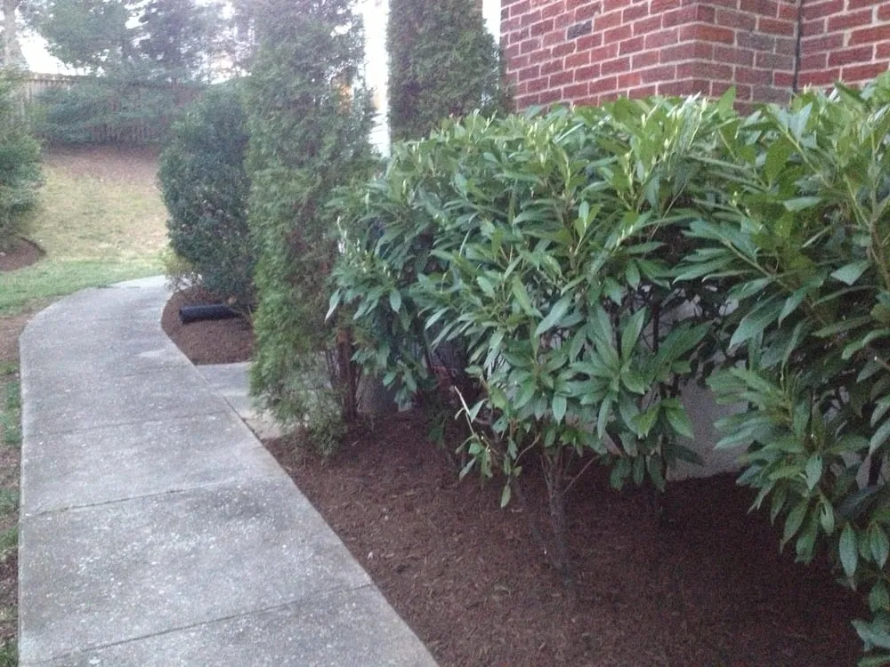 Trusted garden landscaping near you across Falls Church, VA - Potomac Lawn Professionals