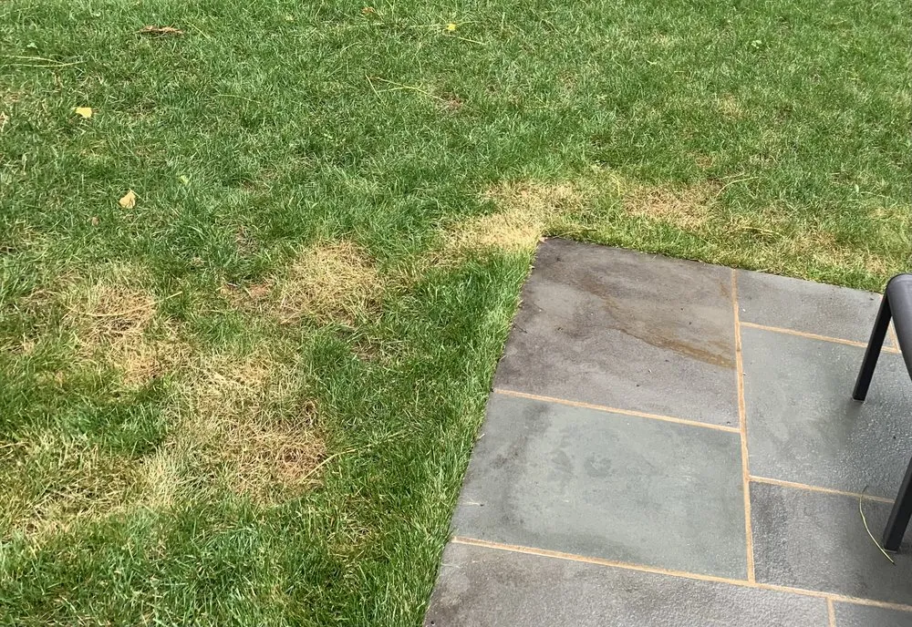 Local lawn care service in Falls Church, VA - Potomac Lawn Professionals