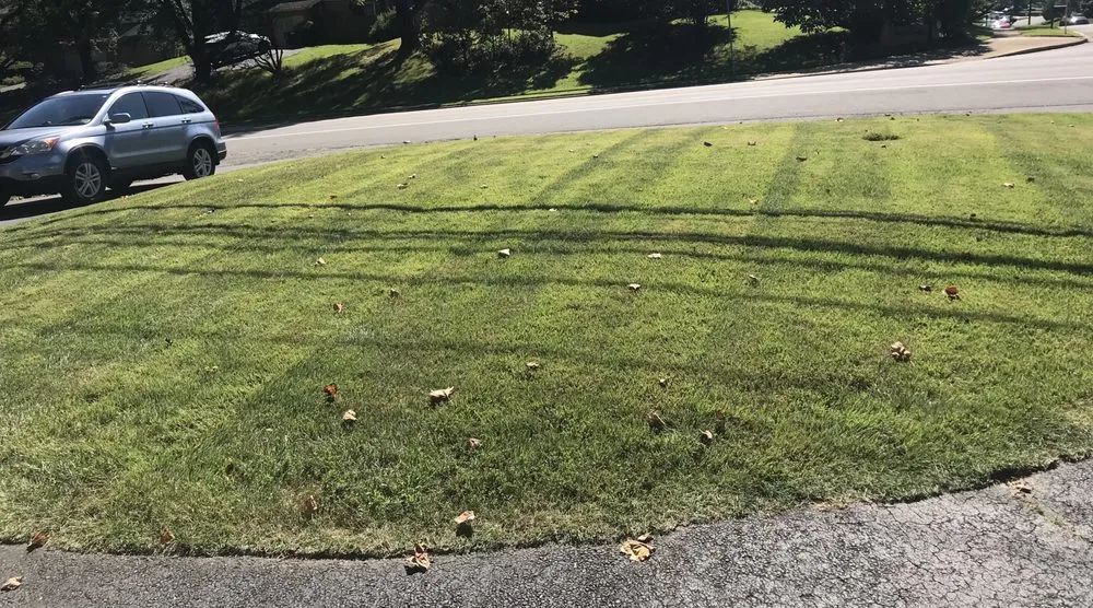 Affordable garden landscaping in Falls Church, VA by Potomac Lawn Professionals