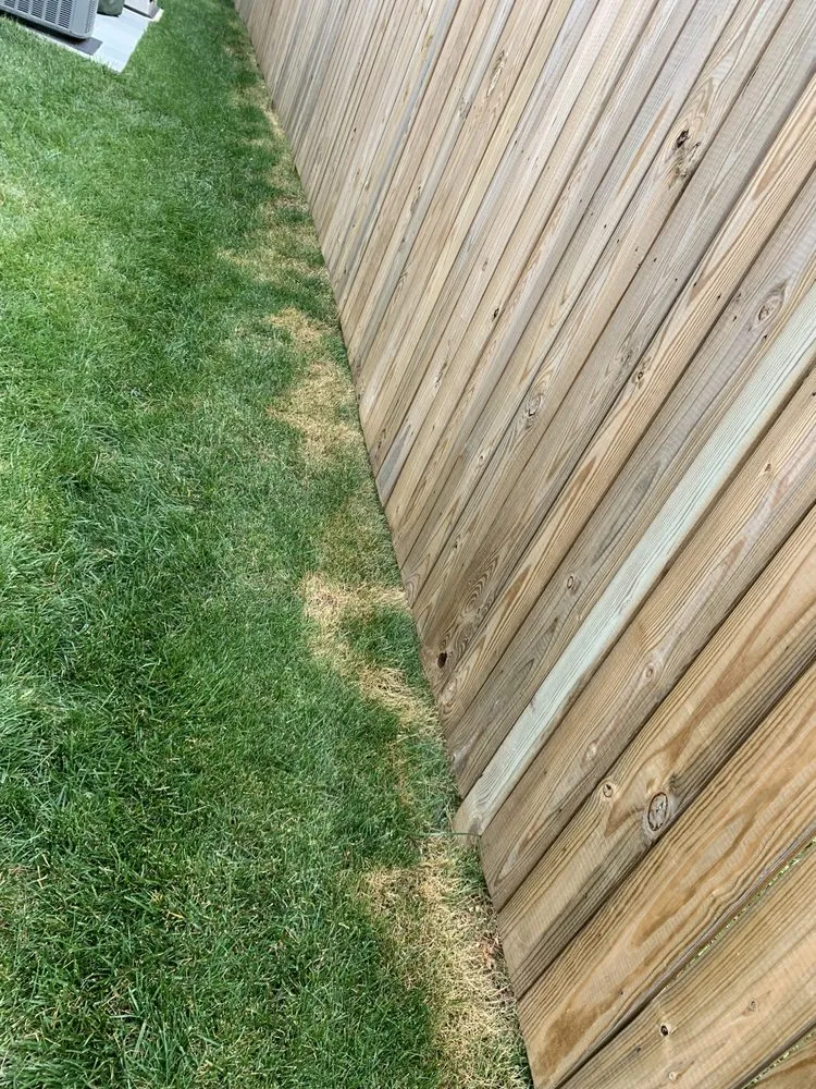 Professional outdoor landscaping for residential properties across Falls Church, VA - Potomac Lawn Professionals