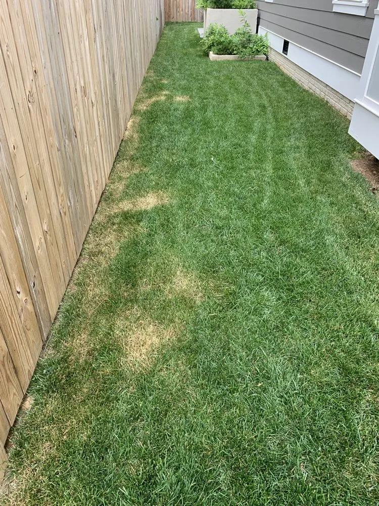 Trusted lawn care service experts serving Falls Church, VA - Potomac Lawn Professionals