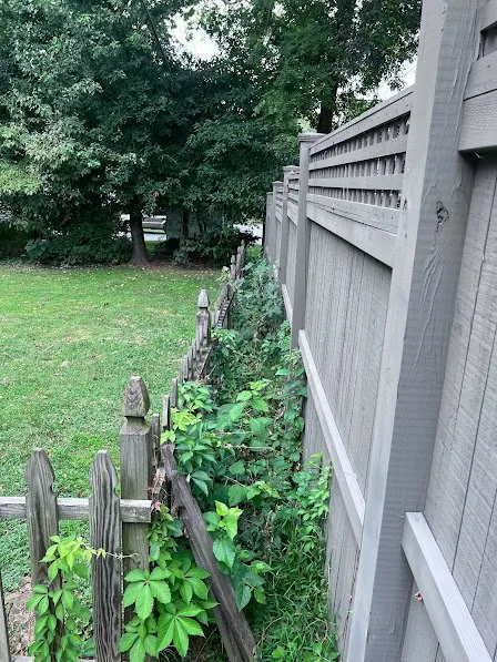 Professional outdoor landscaping for homes across Falls Church, VA - Potomac Lawn Professionals