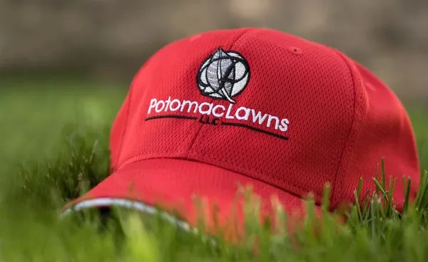 Potomac Lawns
