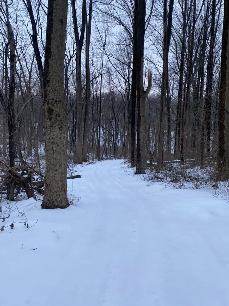 Custom outdoor landscaping in Boyds, MD by Potomac Pathways