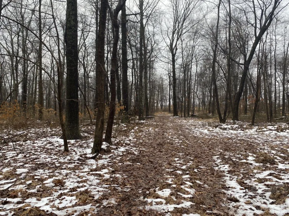 Reliable landscape installation for homes in Boyds, MD by Potomac Pathways