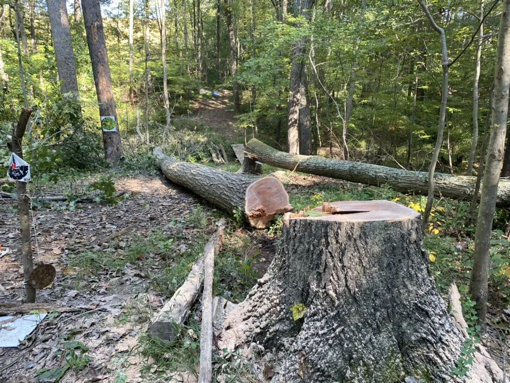 Affordable outdoor landscaping for year-round maintenance across Boyds, MD - Potomac Pathways