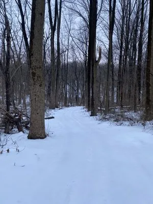 Potomac Pathways Logo