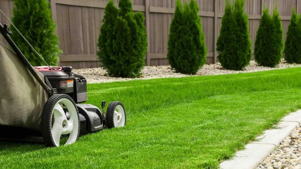 Expert yard maintenance for homes across Park City, IL - Potosi Landscaping
