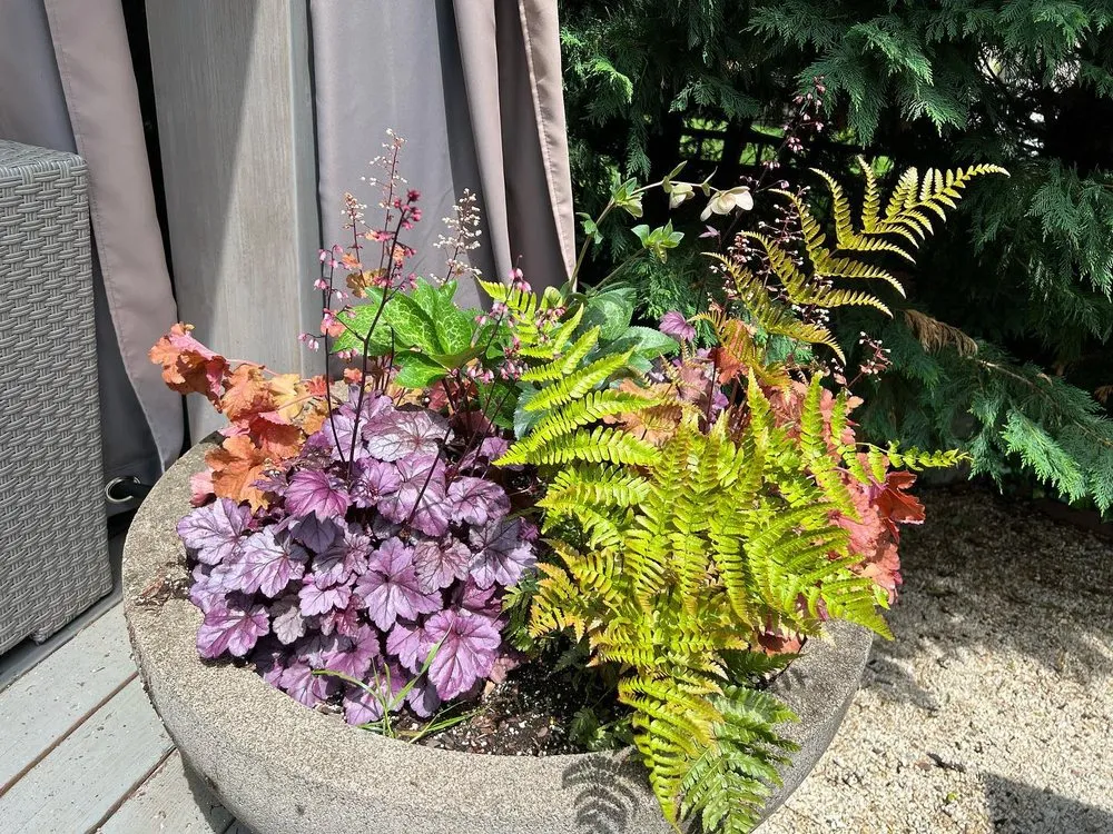 Expert landscape design in Upper Darby, PA by Pots and Planters