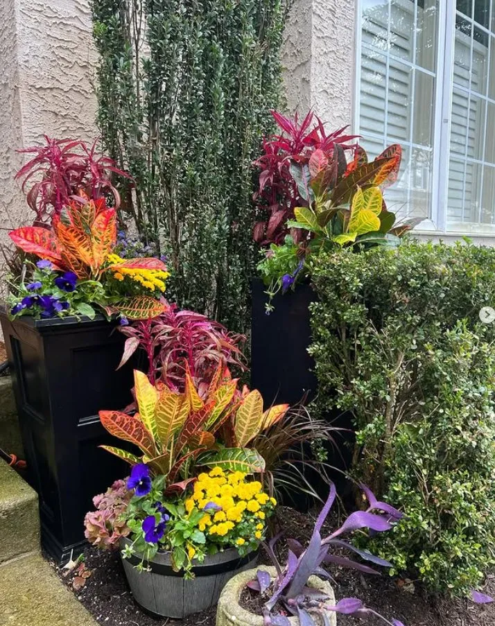 Top-rated lawn care service in Upper Darby, PA - Pots and Planters