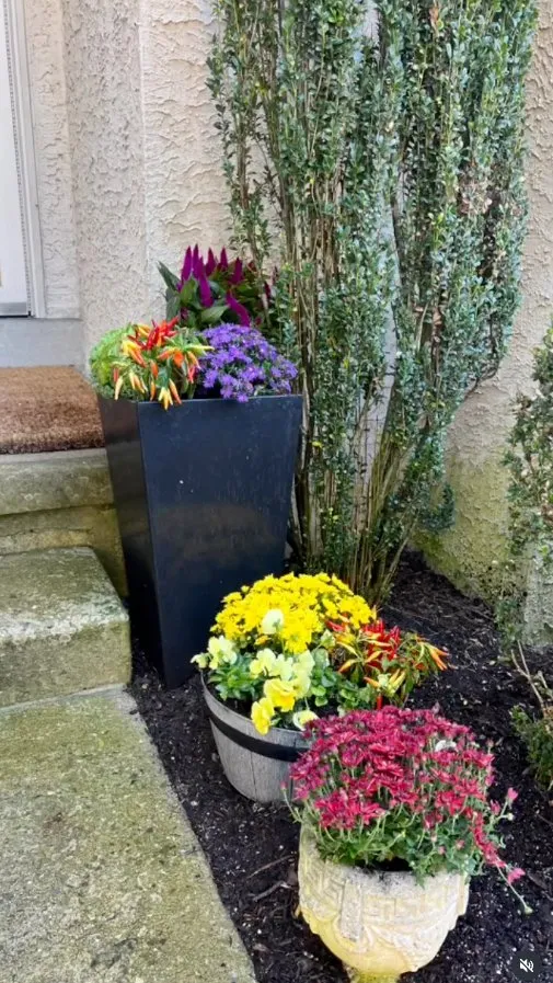 Local landscaping services in Upper Darby, PA by Pots and Planters