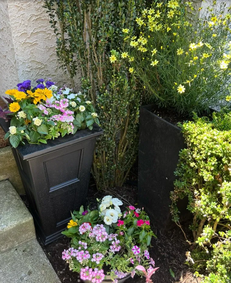 Top-rated lawn care service for beautiful yards in Upper Darby, PA by Pots and Planters