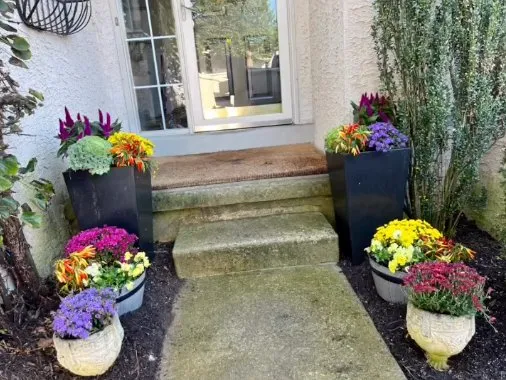 Professional residential landscaping for beautiful yards across Upper Darby, PA - Pots and Planters