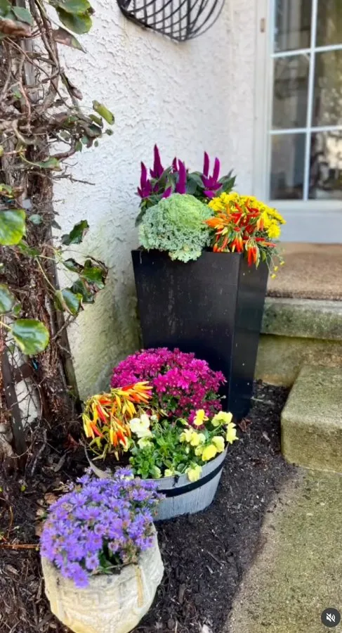 Trusted landscaping services in Upper Darby, PA - Pots and Planters