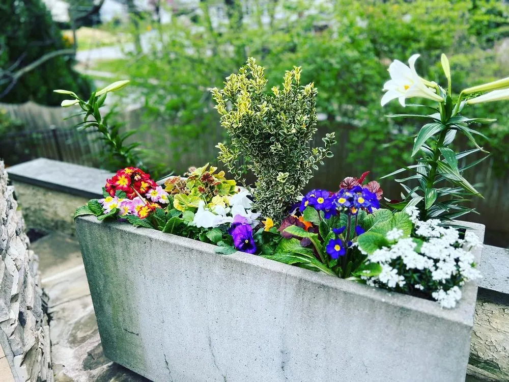 Professional lawn care service near you across Upper Darby, PA - Pots and Planters