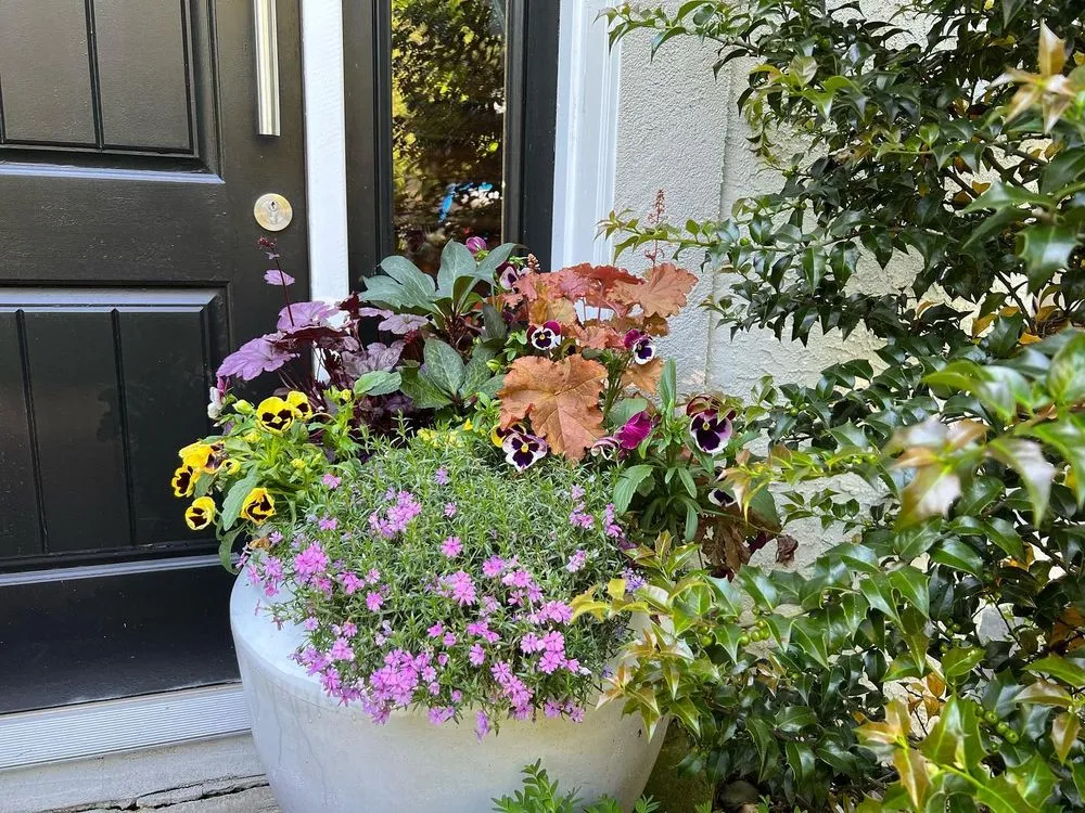 Local yard maintenance for outdoor upgrades in Upper Darby, PA by Pots and Planters