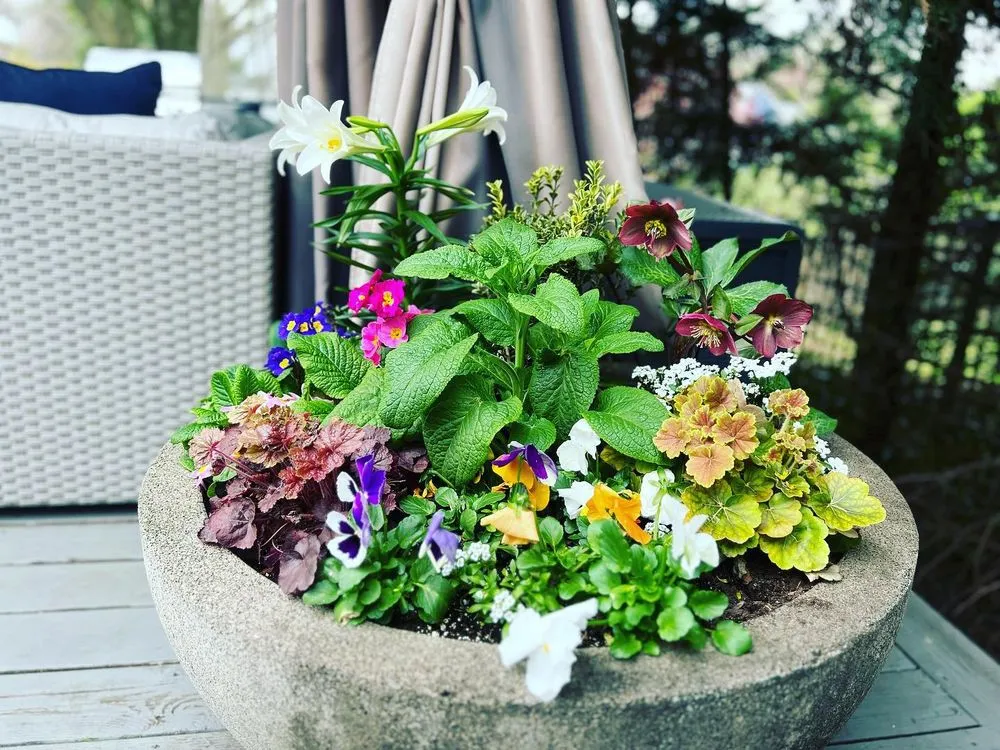 Local landscape installation with custom design across Upper Darby, PA - Pots and Planters