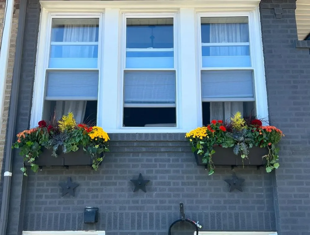 Expert yard cleanup service for year-round maintenance across Upper Darby, PA - Pots and Planters