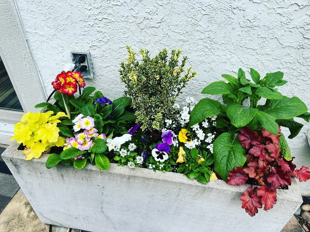 Local landscape installation experts serving Upper Darby, PA - Pots and Planters