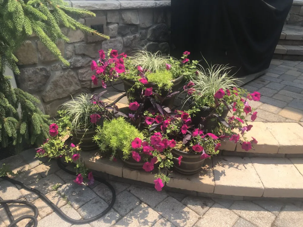 Reliable landscaping services in Mechanicsburg, PA - Potted Luck Landscape