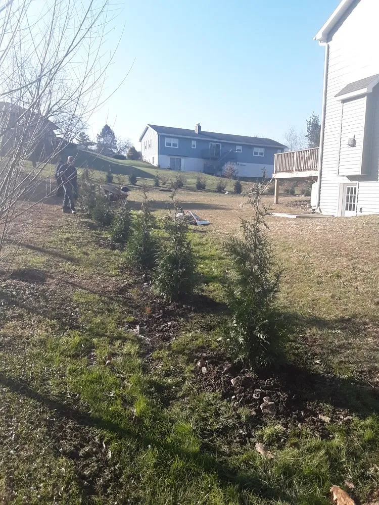 Professional yard cleanup service in Mechanicsburg, PA - Potted Luck Landscape